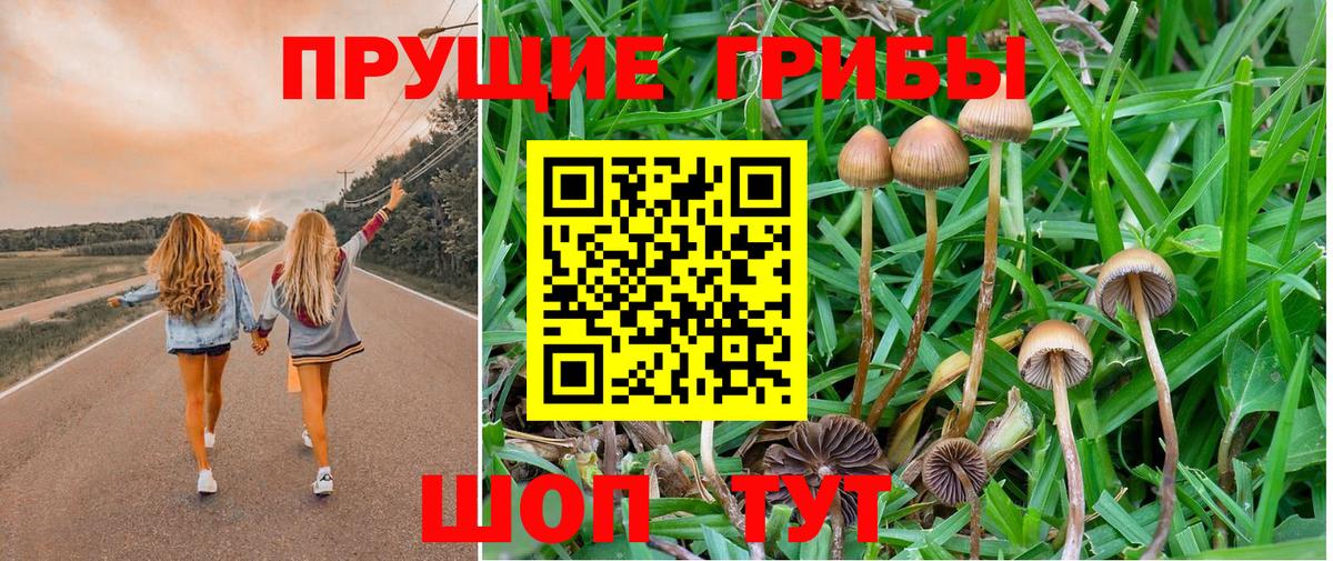 Псилоцибиновые грибы Magic Shrooms Полевской