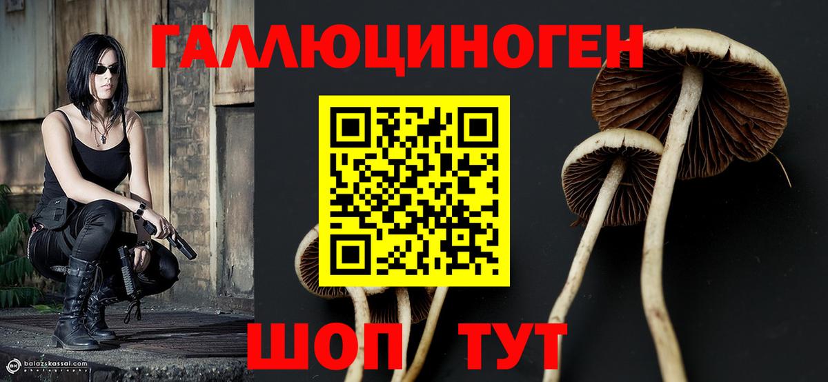 Псилоцибиновые грибы MAGIC MUSHROOMS  Вход с VPN  купить  сайты  Псилоцибиновые грибы Magic Shrooms  Полевской 